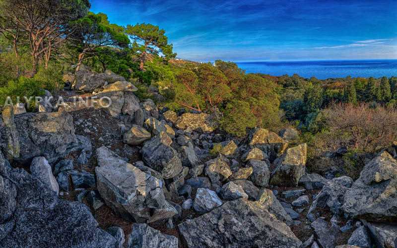 Хоас в Алупке