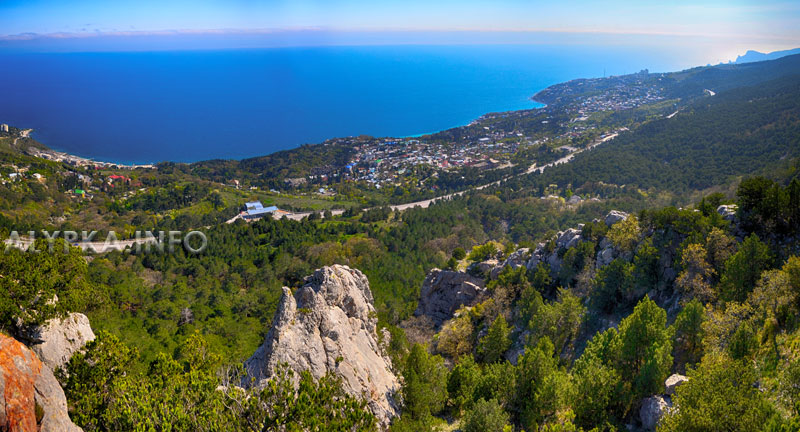 Лес над Алупкой